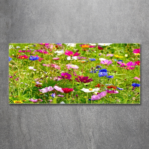 Schilderij glas Wilde bloemen