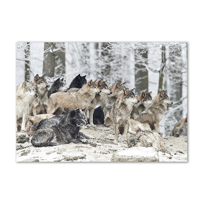 Glazen schilderij Wolven in de winter