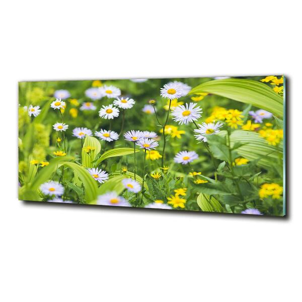 Glazen schilderij Madeliefjes