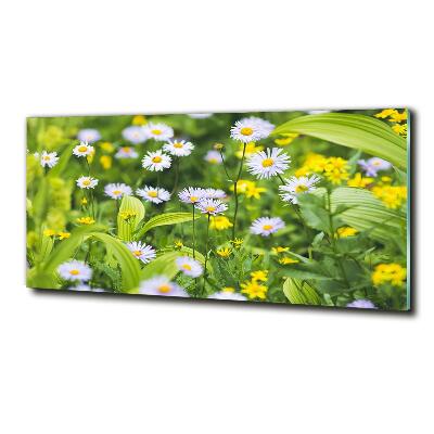 Glazen schilderij Madeliefjes