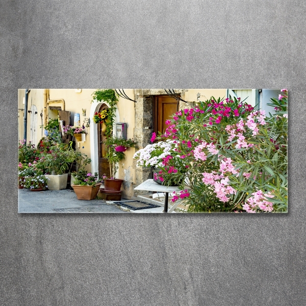 Schilderij op glas Straten van Frankrijk