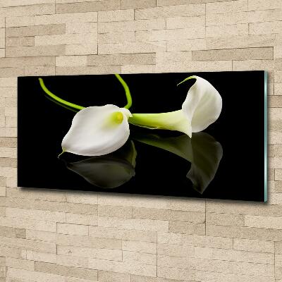 Schilderij op glas Calla
