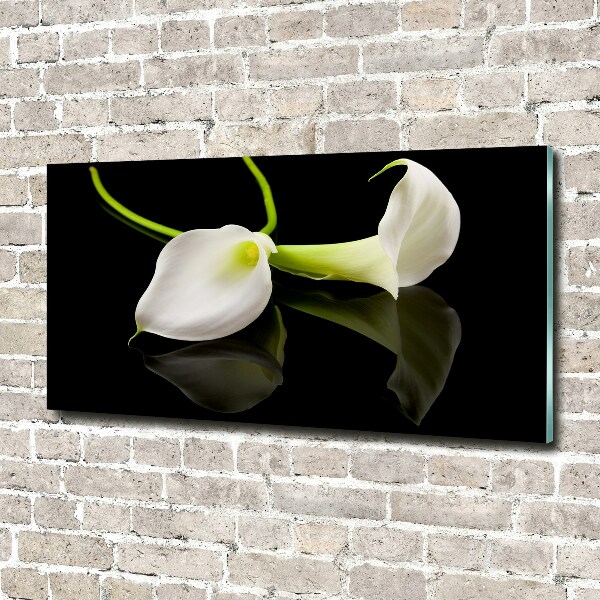 Schilderij op glas Calla