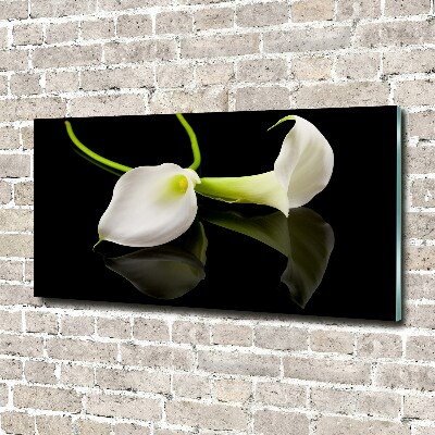 Schilderij op glas Calla
