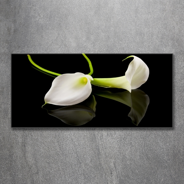 Schilderij op glas Calla