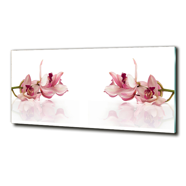 Schilderij glas Orchidee