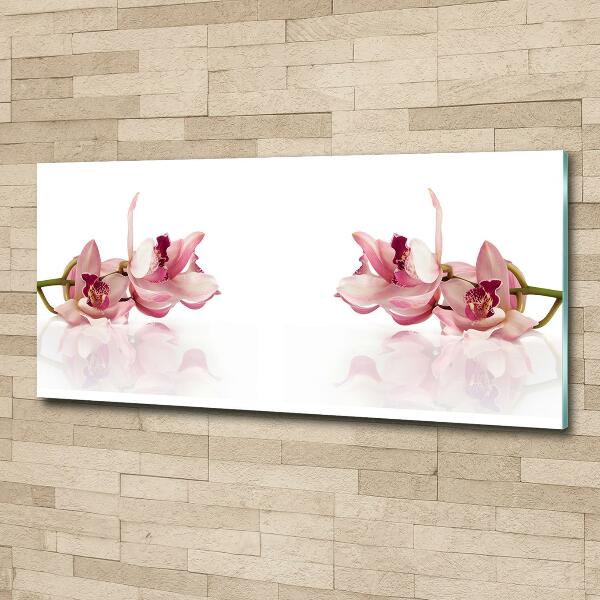 Schilderij glas Orchidee