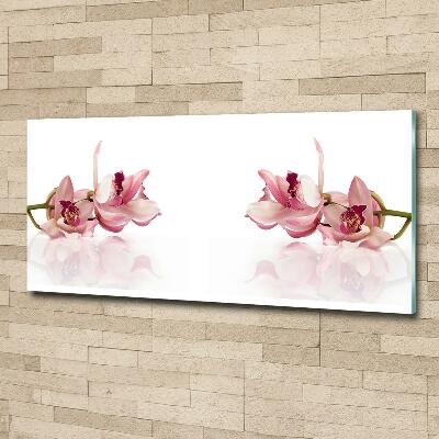Schilderij glas Orchidee