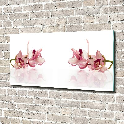 Schilderij glas Orchidee