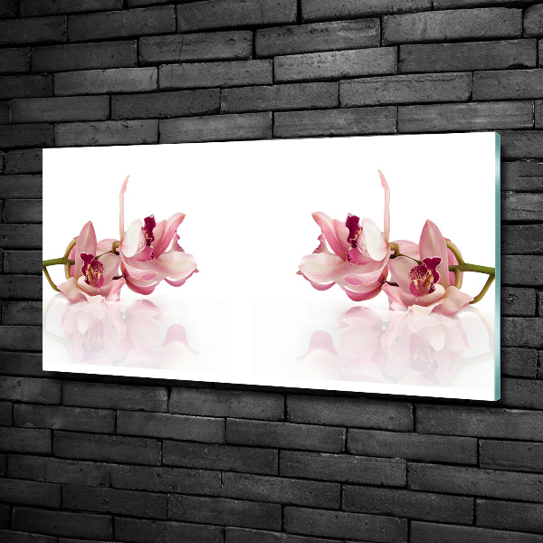 Schilderij glas Orchidee