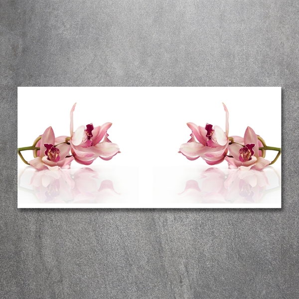 Schilderij glas Orchidee
