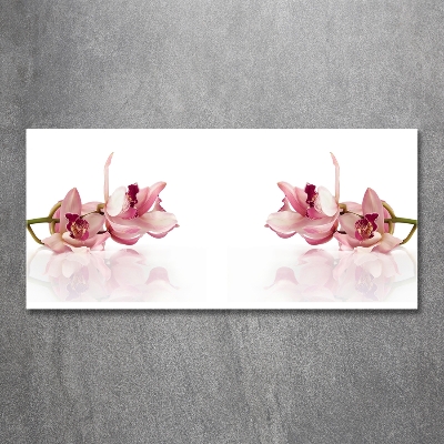Schilderij glas Orchidee