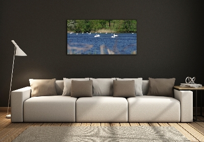 Glazen schilderij Witte zwanen