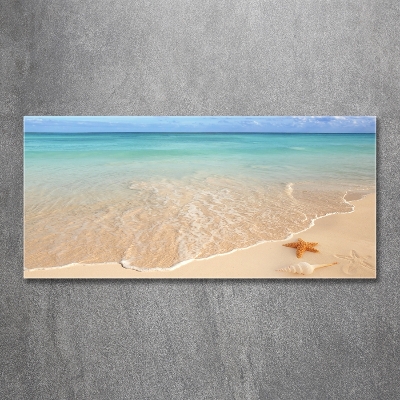 Foto schilderij op glas Zeesterren op het strand