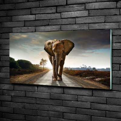 Schilderij glas Lopende olifant