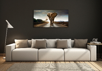 Schilderij glas Lopende olifant
