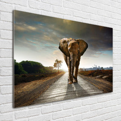 Schilderij glas Lopende olifant