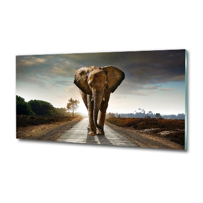 Schilderij glas Lopende olifant