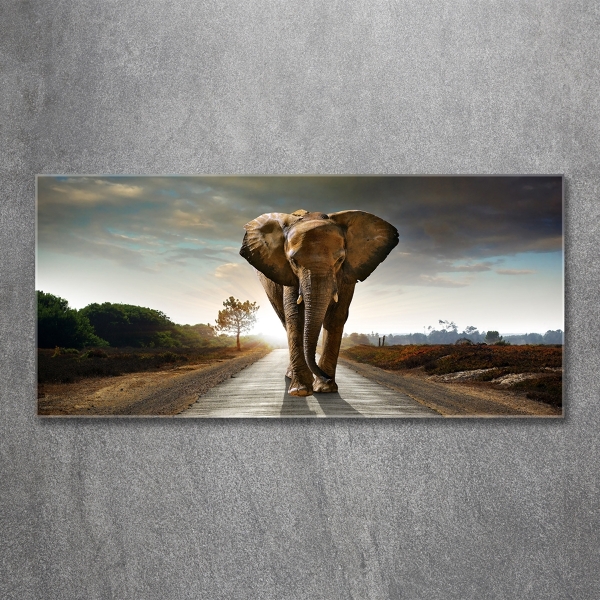 Schilderij glas Lopende olifant