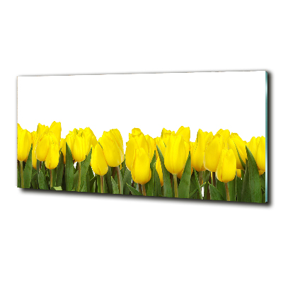 Glazen schilderij Gele tulpen