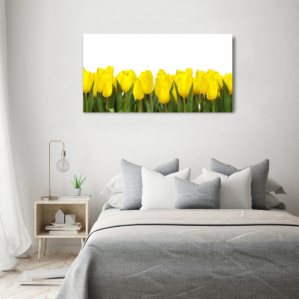 Glazen schilderij Gele tulpen