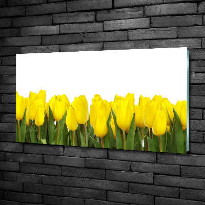 Glazen schilderij Gele tulpen