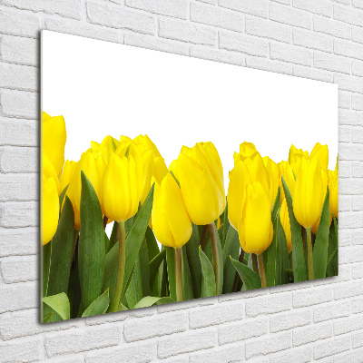 Glazen schilderij Gele tulpen