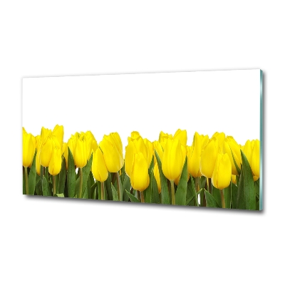 Glazen schilderij Gele tulpen