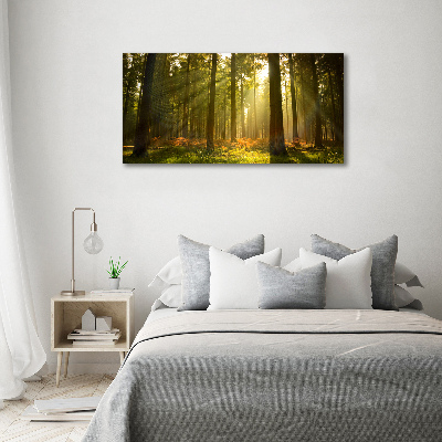 Schilderij glas Bos in de zon