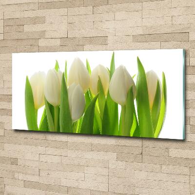 Schilderij op glas Tulpen