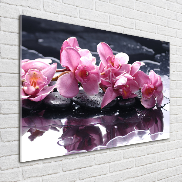 Schilderij glas Roze orchidee