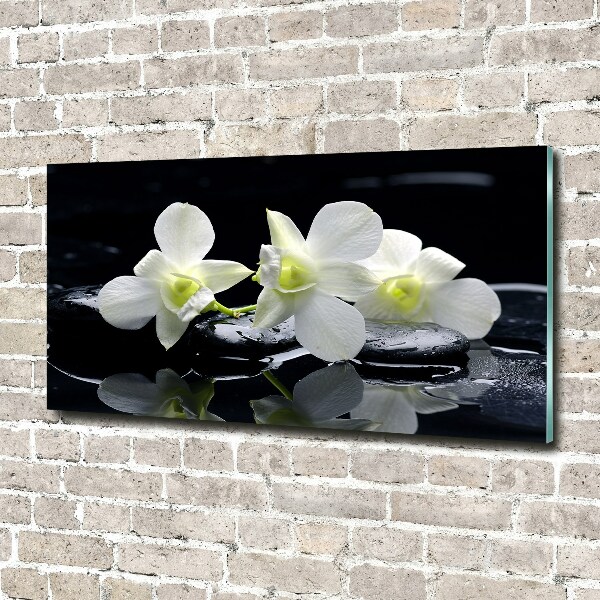Glazen schilderij Orchidee