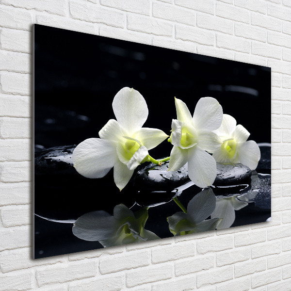 Glazen schilderij Orchidee
