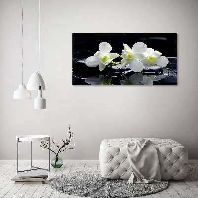Glazen schilderij Orchidee