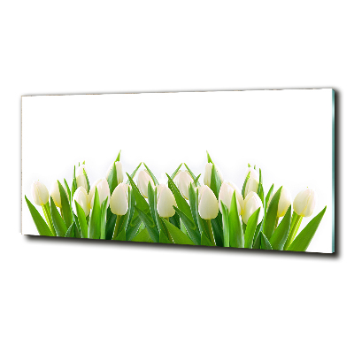 Foto schilderij op glas Witte tulpen