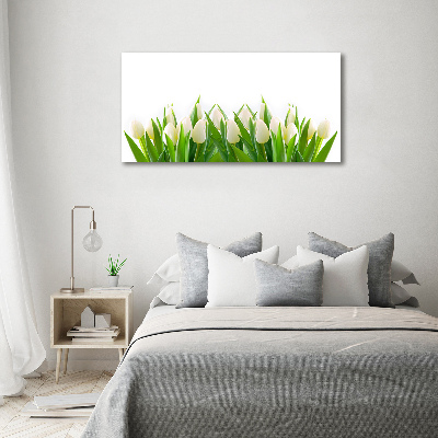 Foto schilderij op glas Witte tulpen