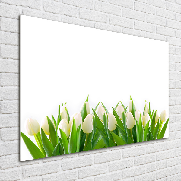 Foto schilderij op glas Witte tulpen