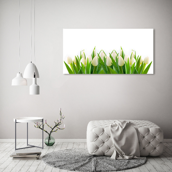 Foto schilderij op glas Witte tulpen