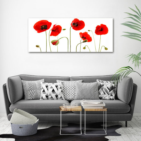 Schilderij op glas Klaprozen