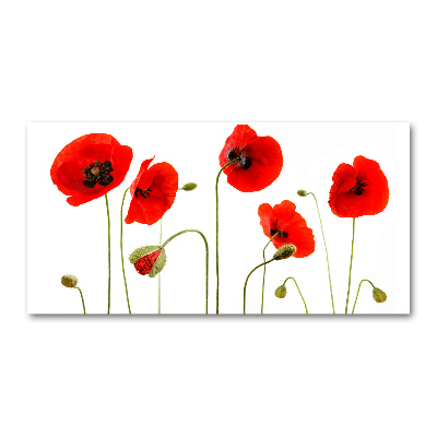 Schilderij op glas Klaprozen