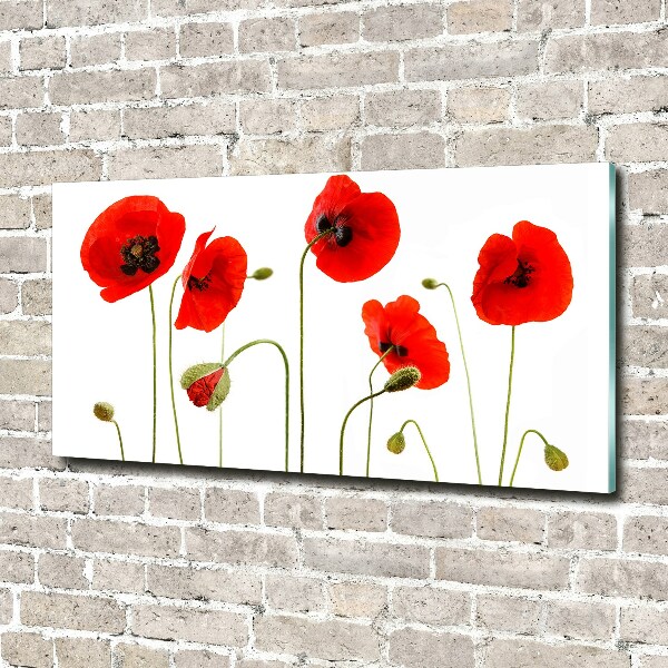 Schilderij op glas Klaprozen