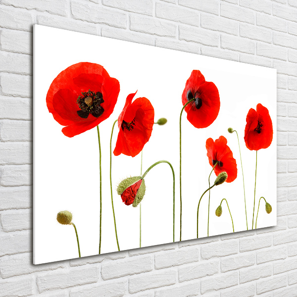 Schilderij op glas Klaprozen