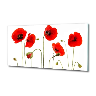 Schilderij op glas Klaprozen