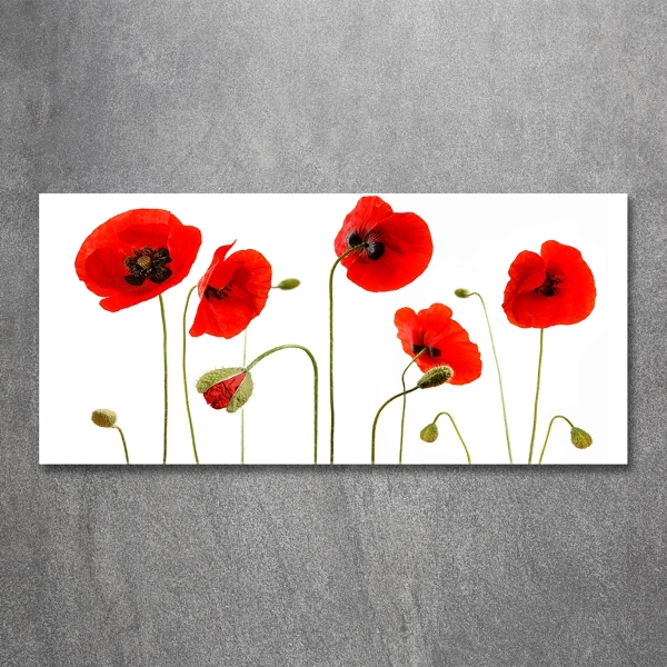 Schilderij op glas Klaprozen