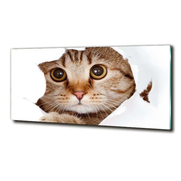 Glazen schilderij Kat