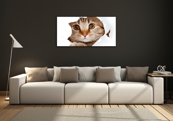 Glazen schilderij Kat