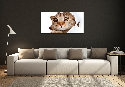 Glazen schilderij Kat