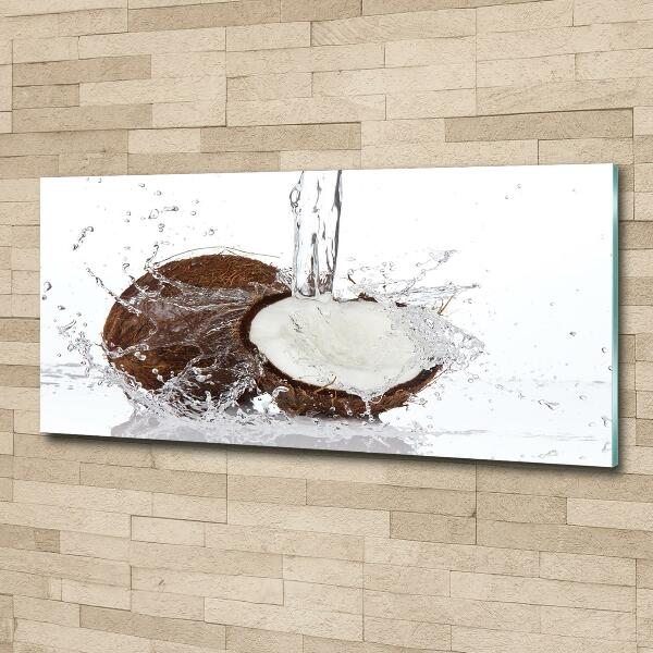 Glazen schilderij Kokosnoot