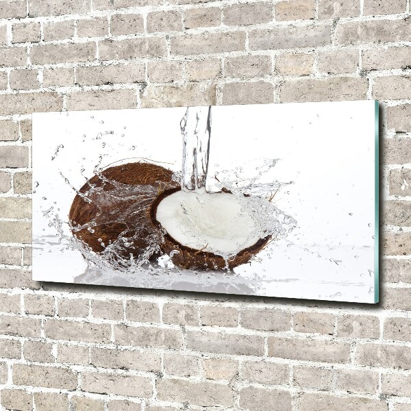 Glazen schilderij Kokosnoot