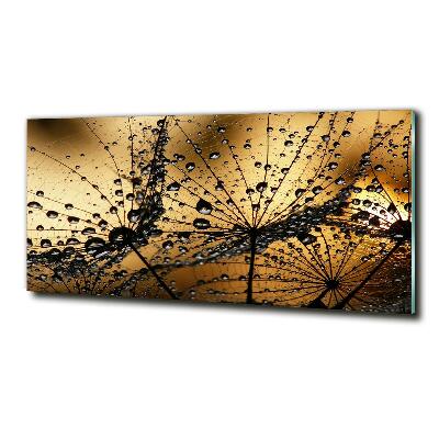 Schilderij op glas Paardenbloemzaden